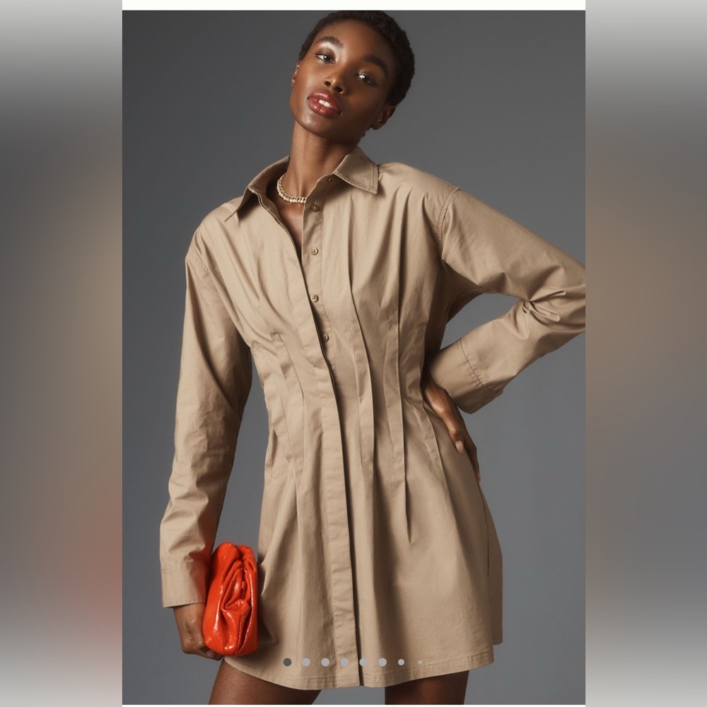 Anthropologie Tan Long Sleeve Dress